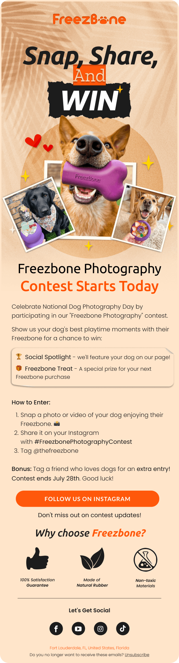 Email Design-Dog_PhotographyV1.png