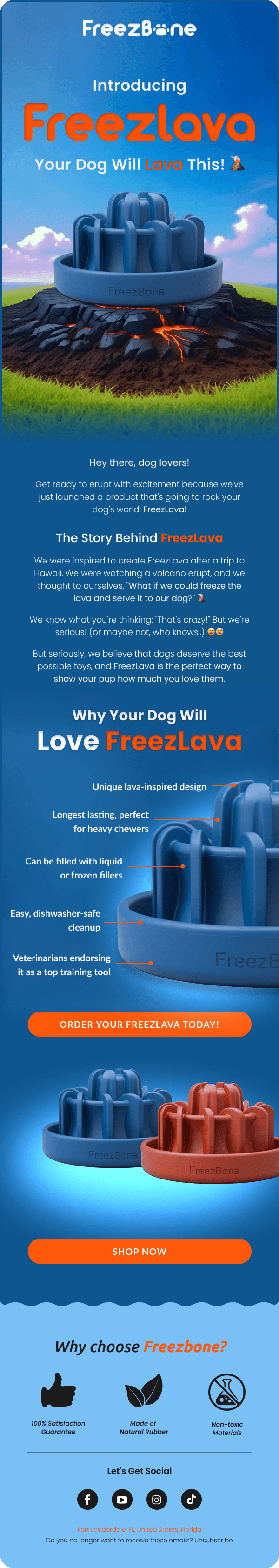 Email Design-Product_Launch_FreezLava
